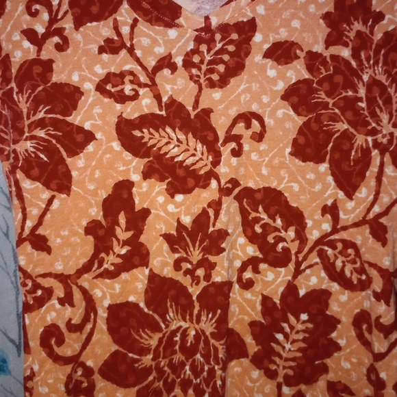 (XS-Pet) Sonoma Orange & Red Floral Baroque Top - Picture 2 of 5